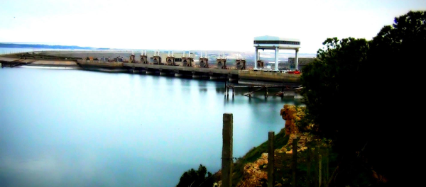 Brana Tabka - Sputnik Srbija