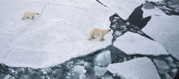 Arktik Arktik - Sputnik Srbija