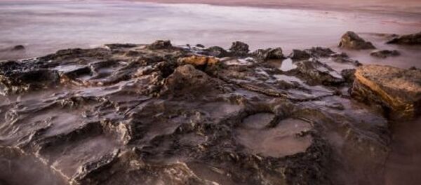 Otisci dinosaurusa - Sputnik Srbija