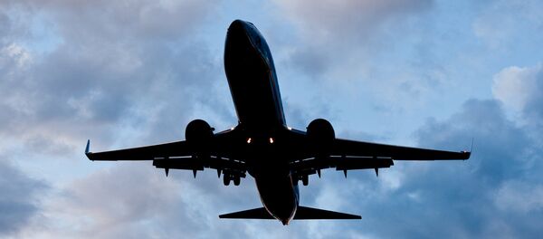 Boing 737-800 - Sputnik Srbija