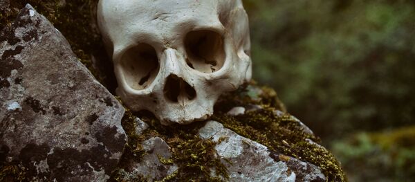 Lobanja - Sputnik Srbija