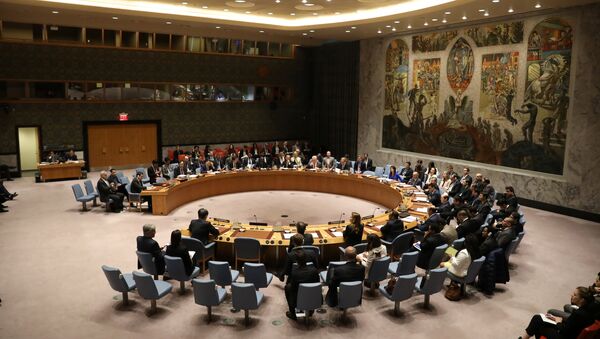 Članovi Saveta bezbednosti Ujedinjenih nacija tokom zasedanja o Siriji - Sputnik Srbija