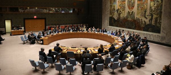 Članovi Saveta bezbednosti Ujedinjenih nacija tokom zasedanja o Siriji - Sputnik Srbija