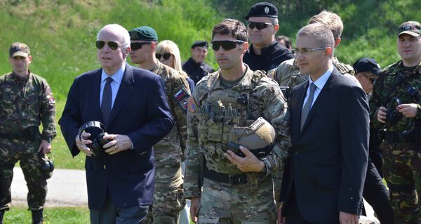 Министар унутршњих послова Србије Небојша Стефановић и сенатор САД Џон Мекејн - Sputnik Србија