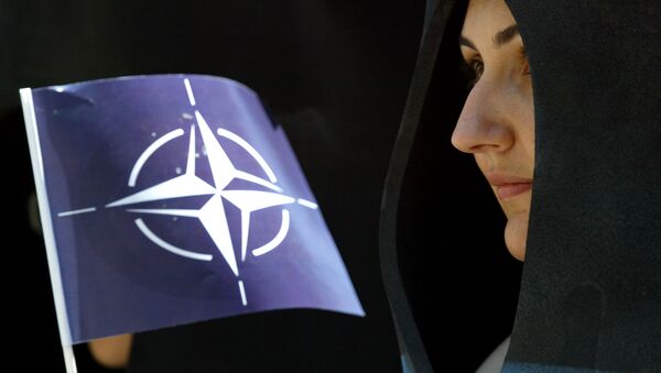 Pristalica NATO-a sa zastavom Alijanse - Sputnik Srbija
