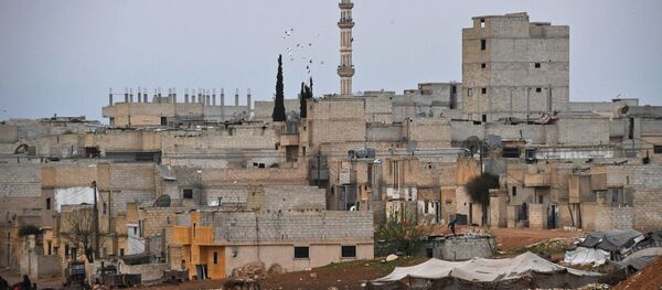 Grad Hama u Siriji - Sputnik Srbija