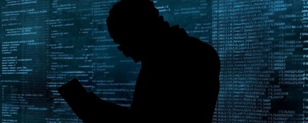 Haker - Sputnik Srbija