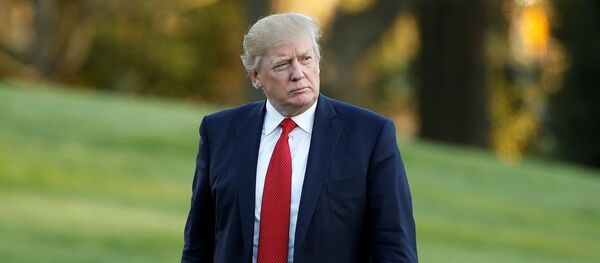 Председник САД Доналд Трамп Председник САД Доналд Трамп - Sputnik Србија