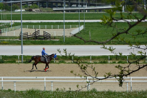 Само понеки усамљени јахач ремети тишину на Хиподрому Само понеки усамљени јахач ремети тишину на Хиподрому - Sputnik Србија