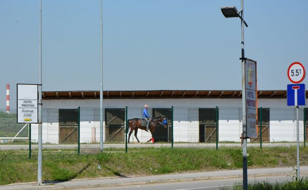 Први пут од 1921. године коњи не јуре Београдским хиподромом Први пут од 1921. године коњи не јуре Београдским хиподромом - Sputnik Србија
