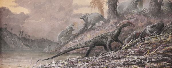 Уметнички приказ телеократера који је урадио Марк Витон Уметнички приказ телеократера који је урадио Марк Витон - Sputnik Србија