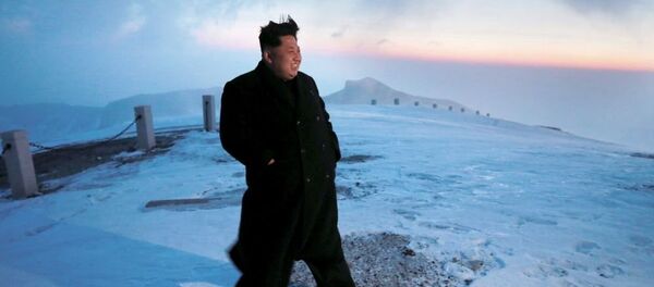 Ким Џонг Ун - председник Северне Кореје - Sputnik Србија