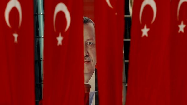 Turski predsednik Redžep Tajip Erdogana kroz tursku nacionalnu zastavu uoči ustavnog referenduma u Istanbulu - Sputnik Srbija