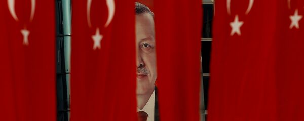 Turski predsednik Redžep Tajip Erdogana kroz tursku nacionalnu zastavu uoči ustavnog referenduma u Istanbulu - Sputnik Srbija