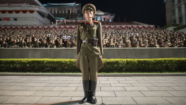 Vojnik tokom proslave povodom 105. godišnjice od rođenja osnivača Severne Koreje, Kim Il Sung u Pjongjangu. - Sputnik Srbija
