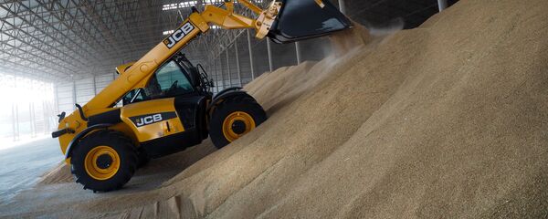 Жетва пшенице у Краснодарском крају - Sputnik Србија