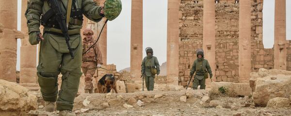 Demineri Međunarodnog protivminskog centra Oružanih snaga Rusije razminiraju istorijski deo Palmire - Sputnik Srbija