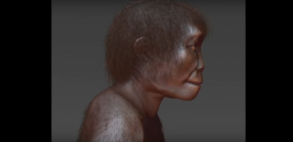 Тим научника покушава да разреши загонетку мистериозних људских предака. - Sputnik Србија