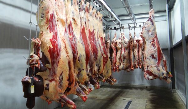 Како да најбоље припремите месо: Кинески научници имају одговор Како да најбоље припремите месо: Кинески научници имају одговор - Sputnik Србија