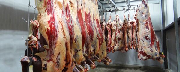 Goveđe polutke - Sputnik Srbija