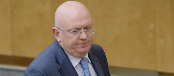 Василиј Небензја - Sputnik Србија