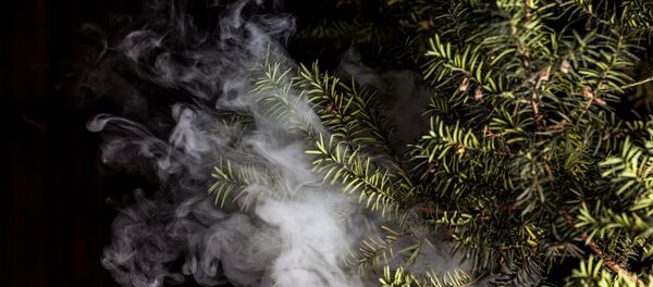 Дрога - Sputnik Србија