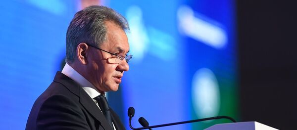 Сергеј Шојгу - Sputnik Србија