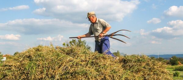 Seljak - Sputnik Srbija