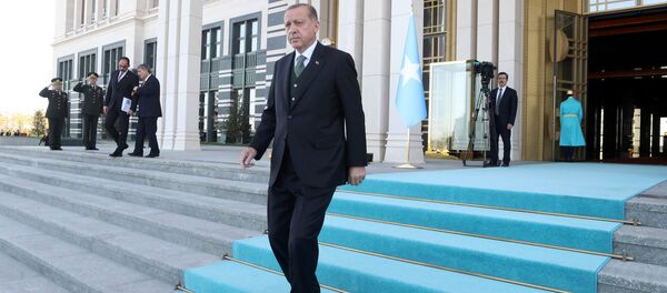 Председник Турске Реџеп Тајип Ердоган - Sputnik Србија