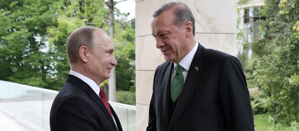 Sastanak predsednika Rusije Vladimira Putina i predsednika Turske Redžepa Tajipa Erdogana u Sočiju - Sputnik Srbija
