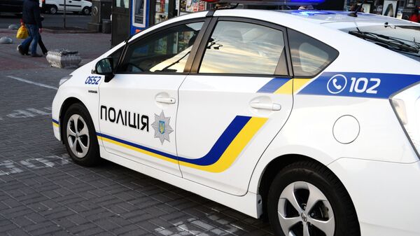Policijsko vozilo - Sputnik Srbija
