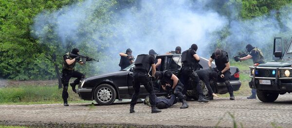 Војна вежба Челик 2017 у Никинцима одржана поводом Дана Војске Србије, Дана победе и Дана Европе. - Sputnik Србија