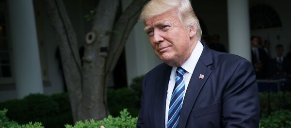 Predsednik SAD Donald Tramp - Sputnik Srbija