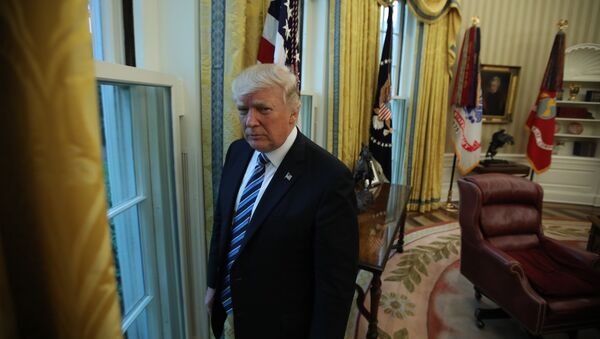 Predsednik SAD Donald Tramp nakon intervjua agenciji Rojters u Beloj kući - Sputnik Srbija