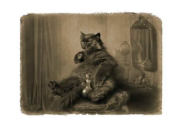 Илустрација Јелене Мартињук за роман „Мајстор и Маргарита“ Михаила Булгакова – мачак Бехемот Илустрација Јелене Мартињук за роман „Мајстор и Маргарита“ Михаила Булгакова – мачак Бехемот - Sputnik Србија