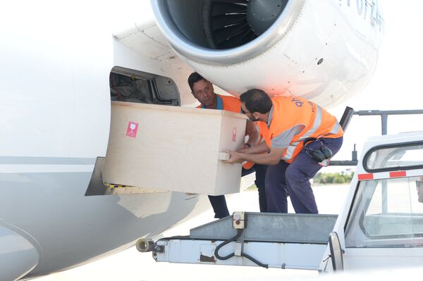 Утоварање ковчега са моштима Николаја Чудотворца на аеродрому у Барију у Италији - Sputnik Србија