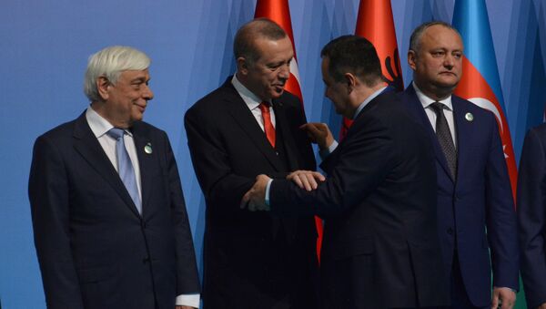 Министар спољних послова Србиеј Ивица Дачић и председник Турске Реџеп Тајип Ердоган  у Истанбулу - Sputnik Србија