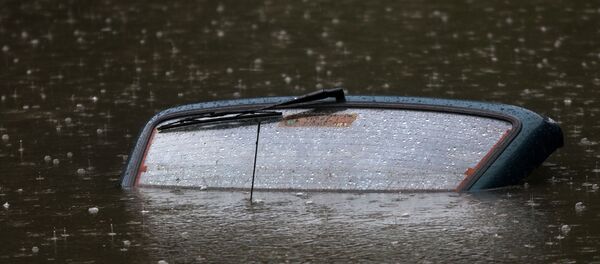 Poplave u Novom Sadu 23. maja 2017. godine - Sputnik Srbija