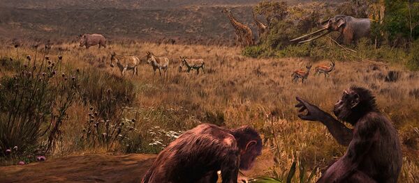 Фосили - илустрација Фосили - илустрација - Sputnik Србија