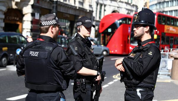 Полиција на улицама Лондона - Sputnik Србија