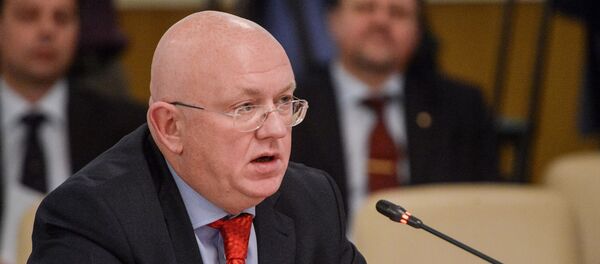 Василиј Небензја - Sputnik Србија