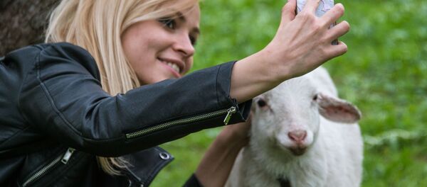 Devojka i ovca - Sputnik Srbija