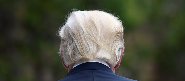 Доналд Трамп - Sputnik Србија