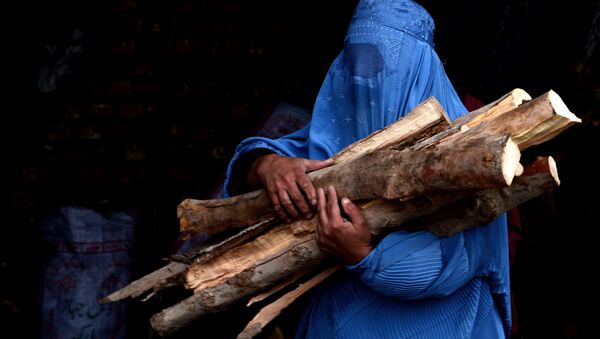 Avganistanka pokrivena burkom nosi cepanice nakon što ih je kupila u Heratu - Sputnik Srbija