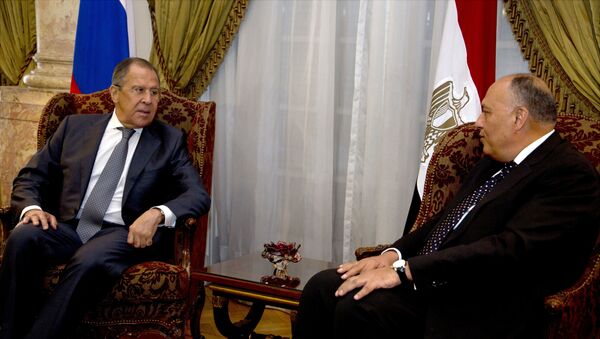 Ministar spoljnih poslova Rusije Sergej Lavrov sa svojim egipatskim kolegom Samehom Šukrijem u Kairu - Sputnik Srbija