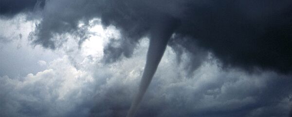 Пијавица - Sputnik Србија