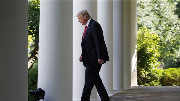 Председник САД Доналд Трамп испред Беле куће у Вашингтону - Sputnik Србија