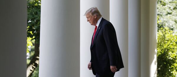 Председник САД Доналд Трамп испред Беле куће у Вашингтону - Sputnik Србија