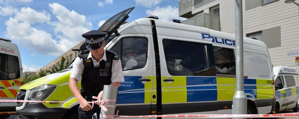 Британска полиција Британска полиција - Sputnik Србија