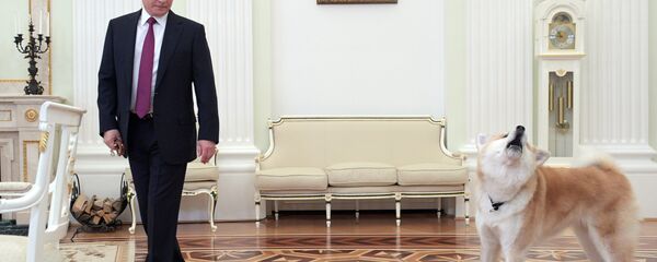 Владимир Путин - Sputnik Србија